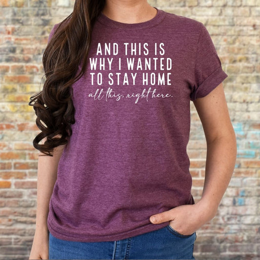 women’s funny homebody graphic t-shirt